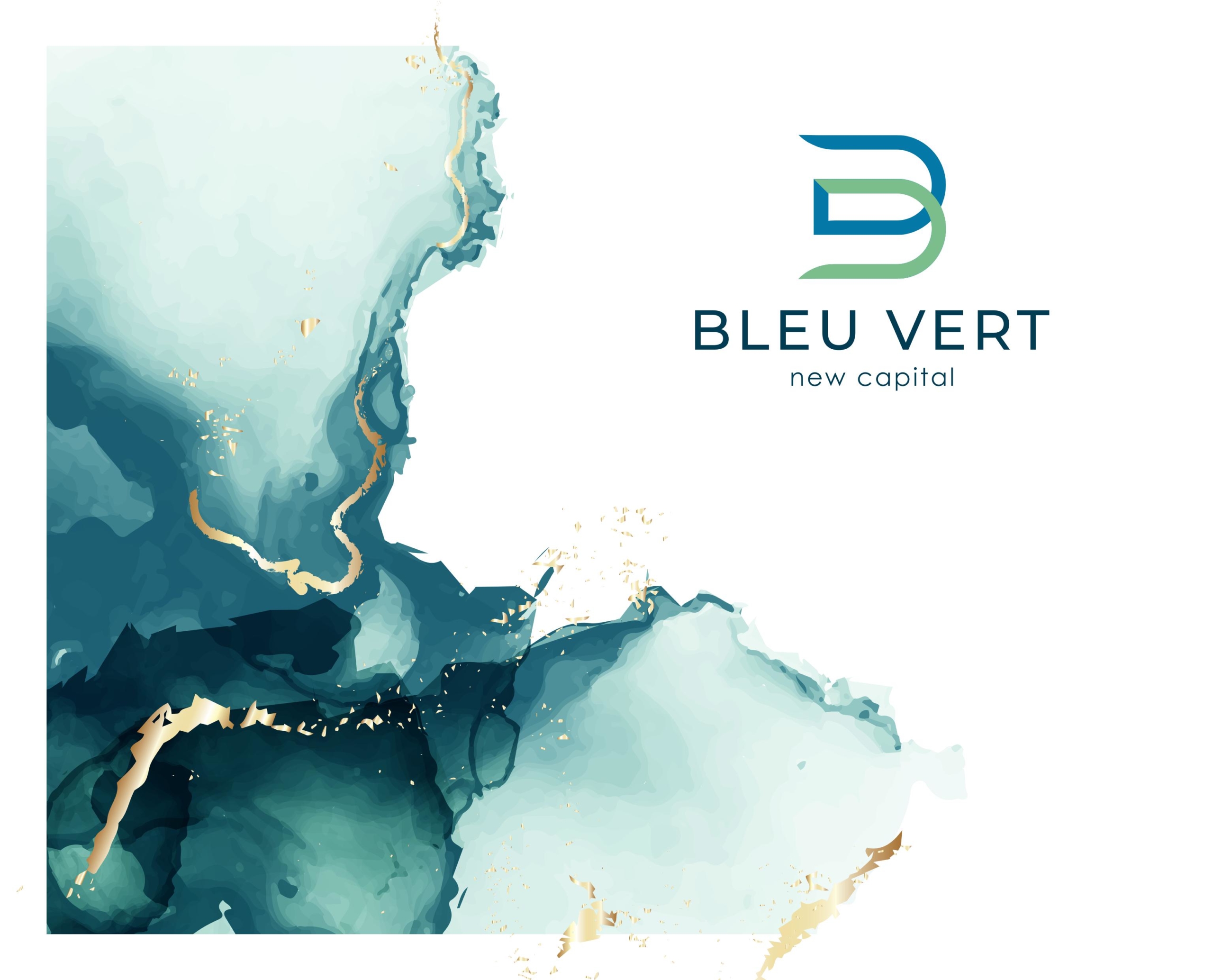 Bleu Vert | New Capital