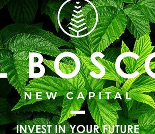 IL Bosco city | New Capital price