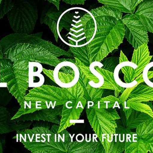 IL Bosco city | New Capital price